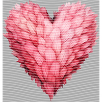 Valentine's Day-QRJ  4628